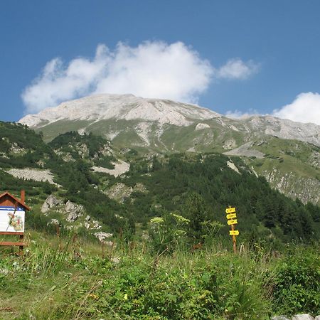 Hotel Dumanov Bansko Buitenkant foto