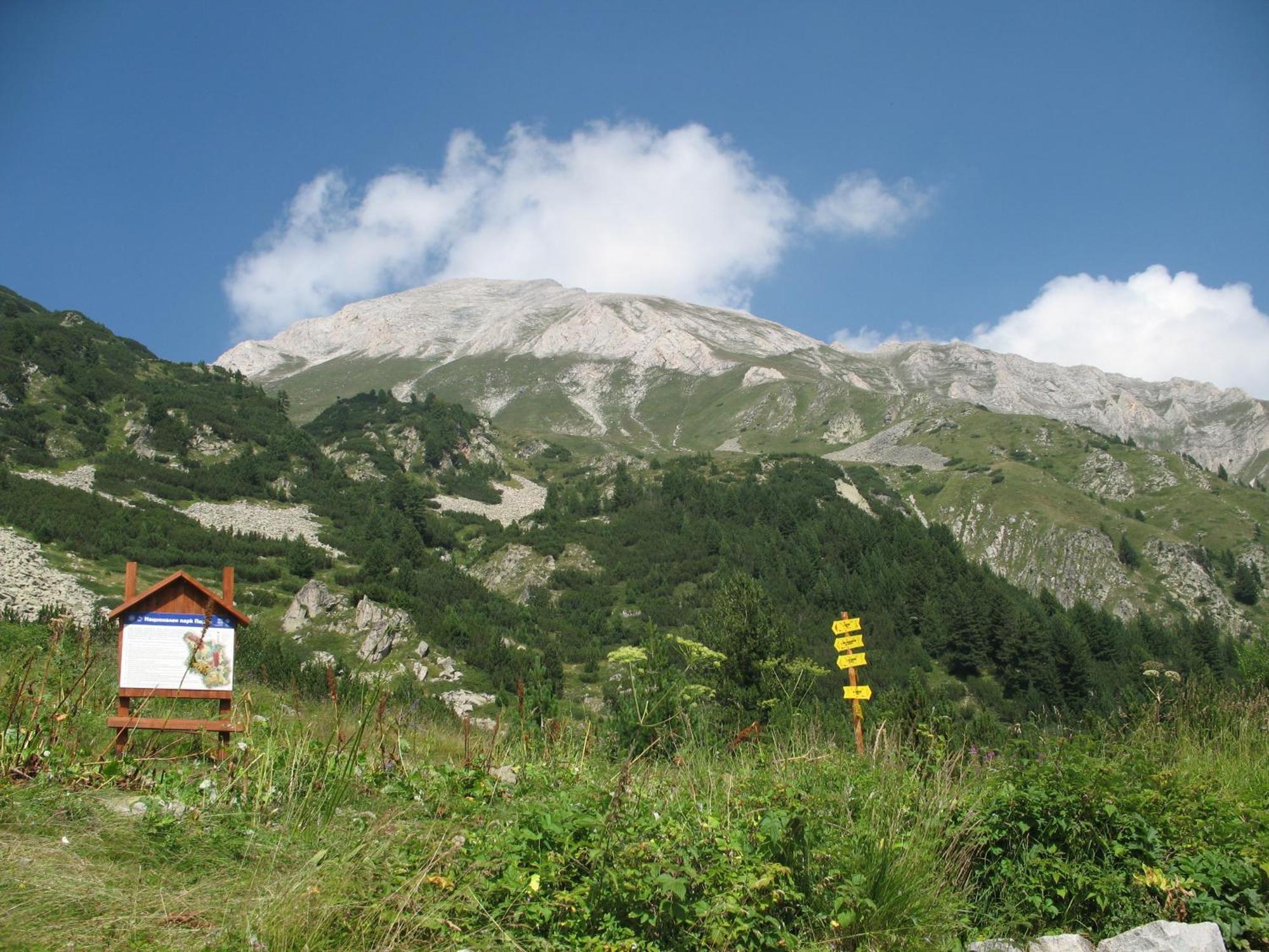 Hotel Dumanov Bansko Buitenkant foto